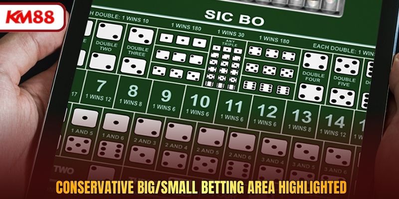Conservative big/small betting area highlighted
