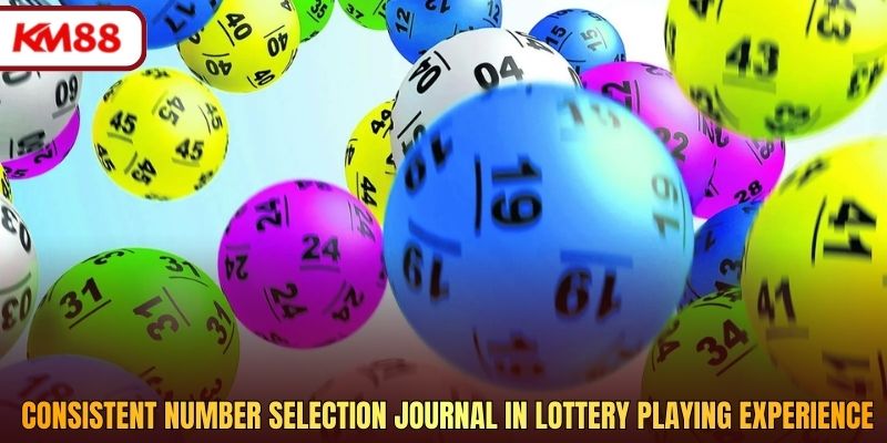 Consistent number selection journal in lottery playing experience