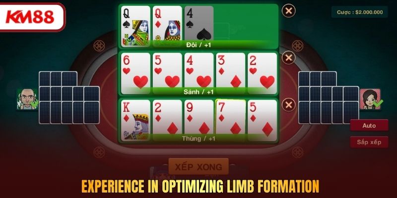 Experience in Optimizing Limb Formation