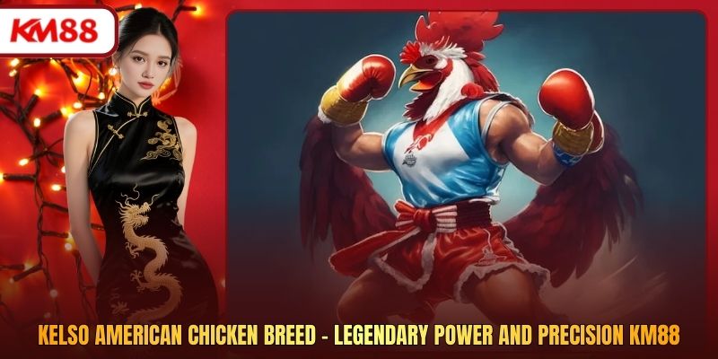 Kelso American Chicken Breed - Legendary Power And Precision KM88
