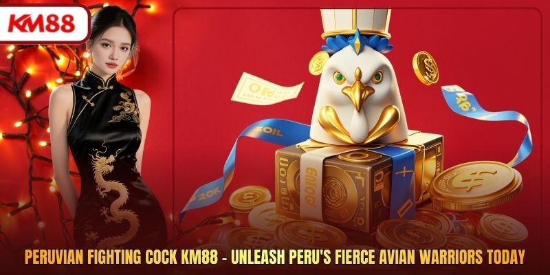 Peruvian Fighting Cock Km88 - Unleash Peru's Fierce Avian Warriors Today
